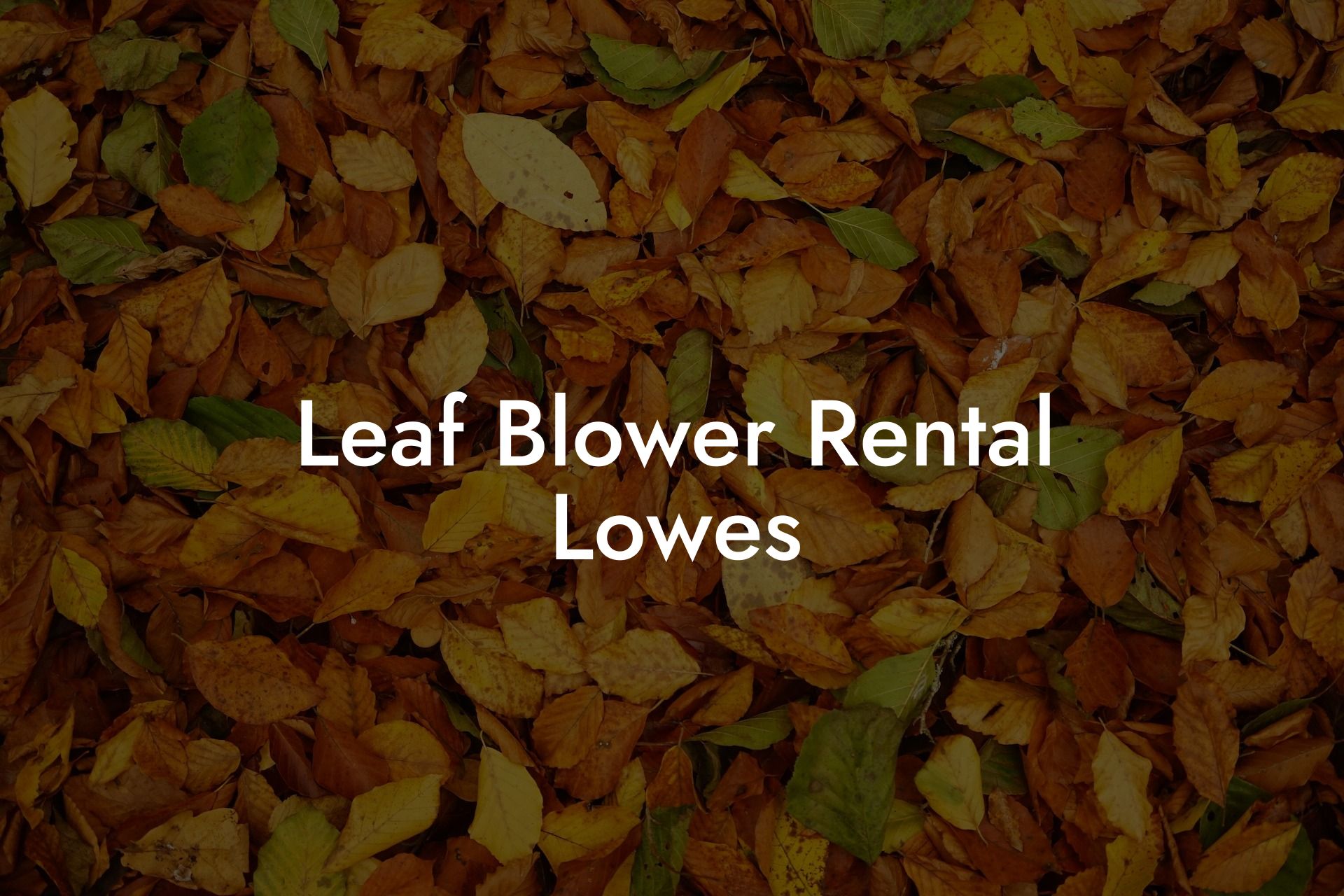 Leaf Blower Rental Lowes