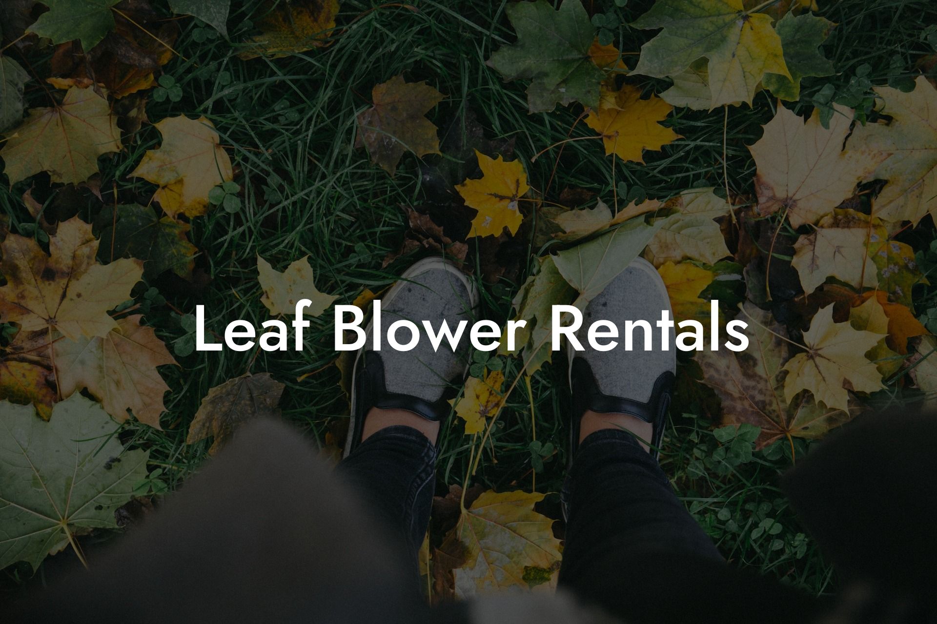 Leaf Blower Rentals