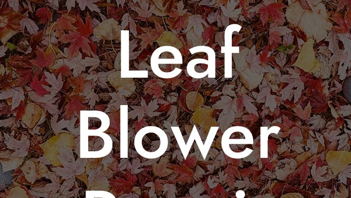 Leaf Blower Repair