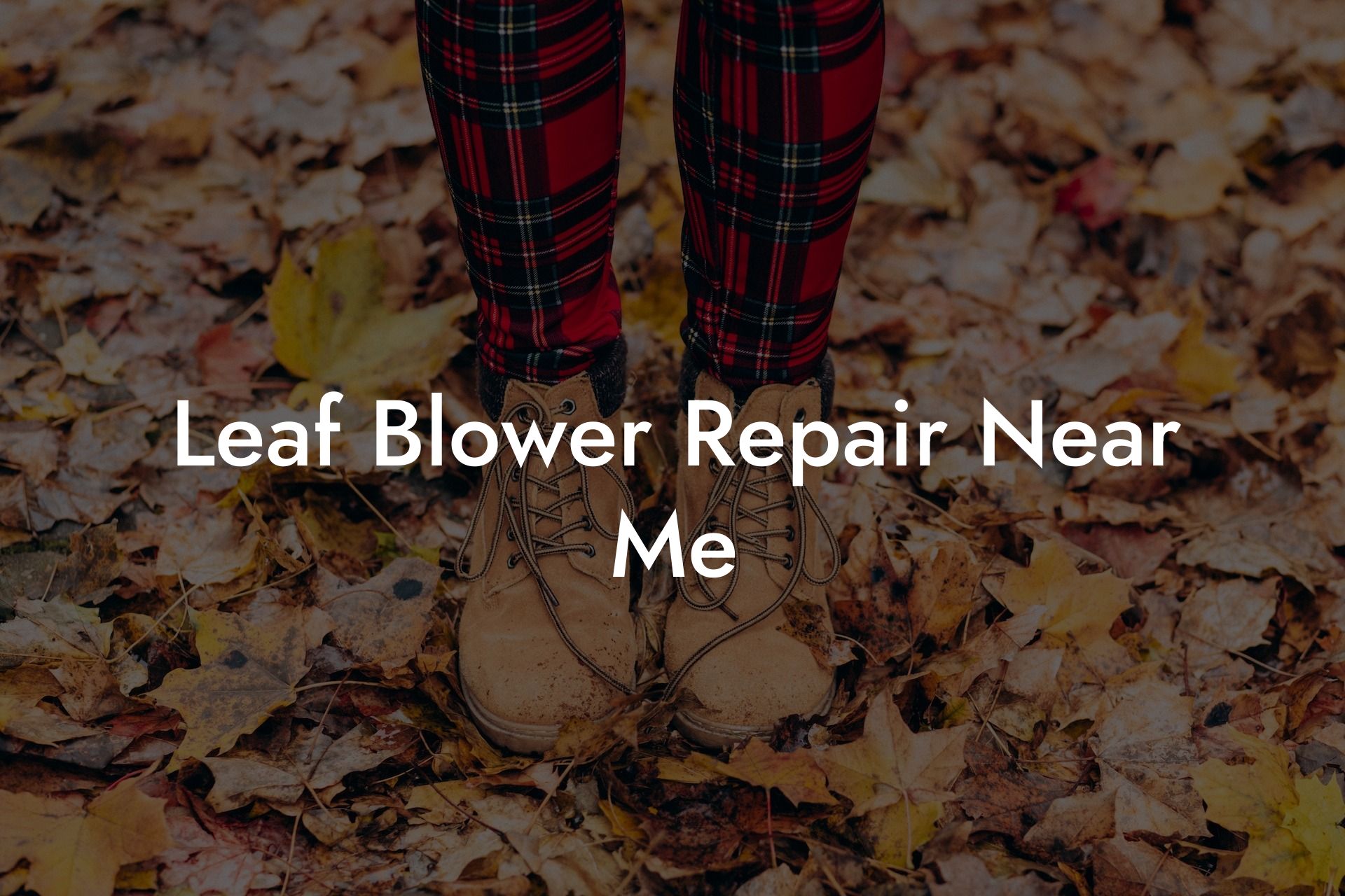 Leaf Blower Repair Near Me