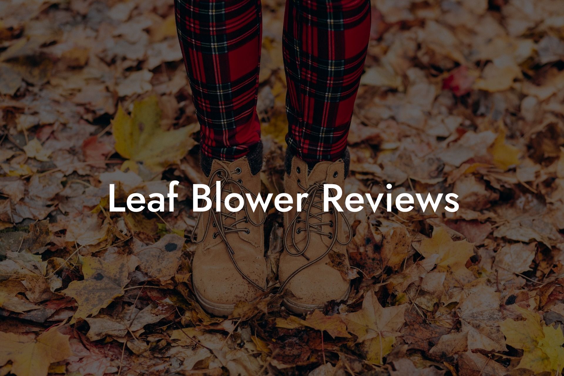 Leaf Blower Reviews