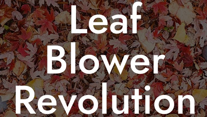 Leaf Blower Revolution Codes