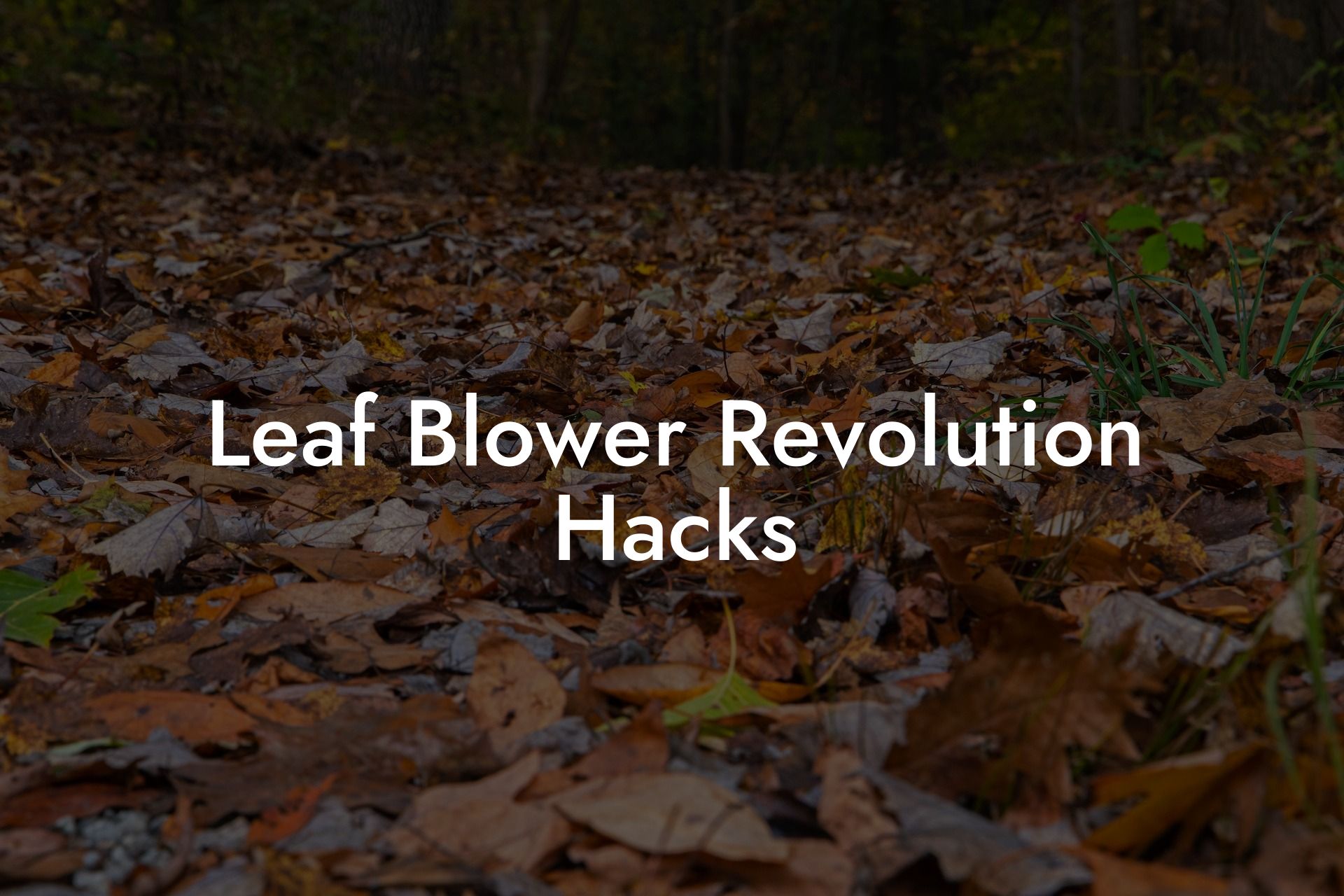 Leaf Blower Revolution Hacks