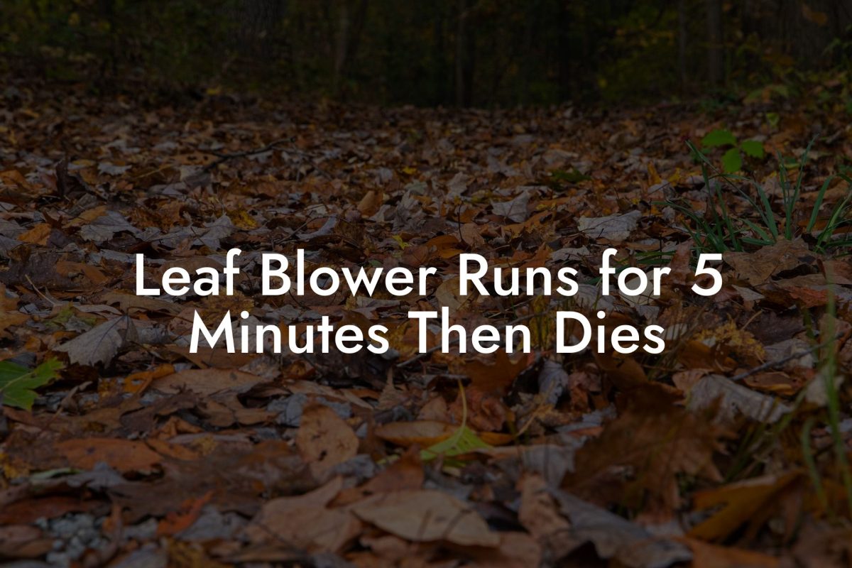 Leaf Blower Runs for 5 Minutes Then Dies