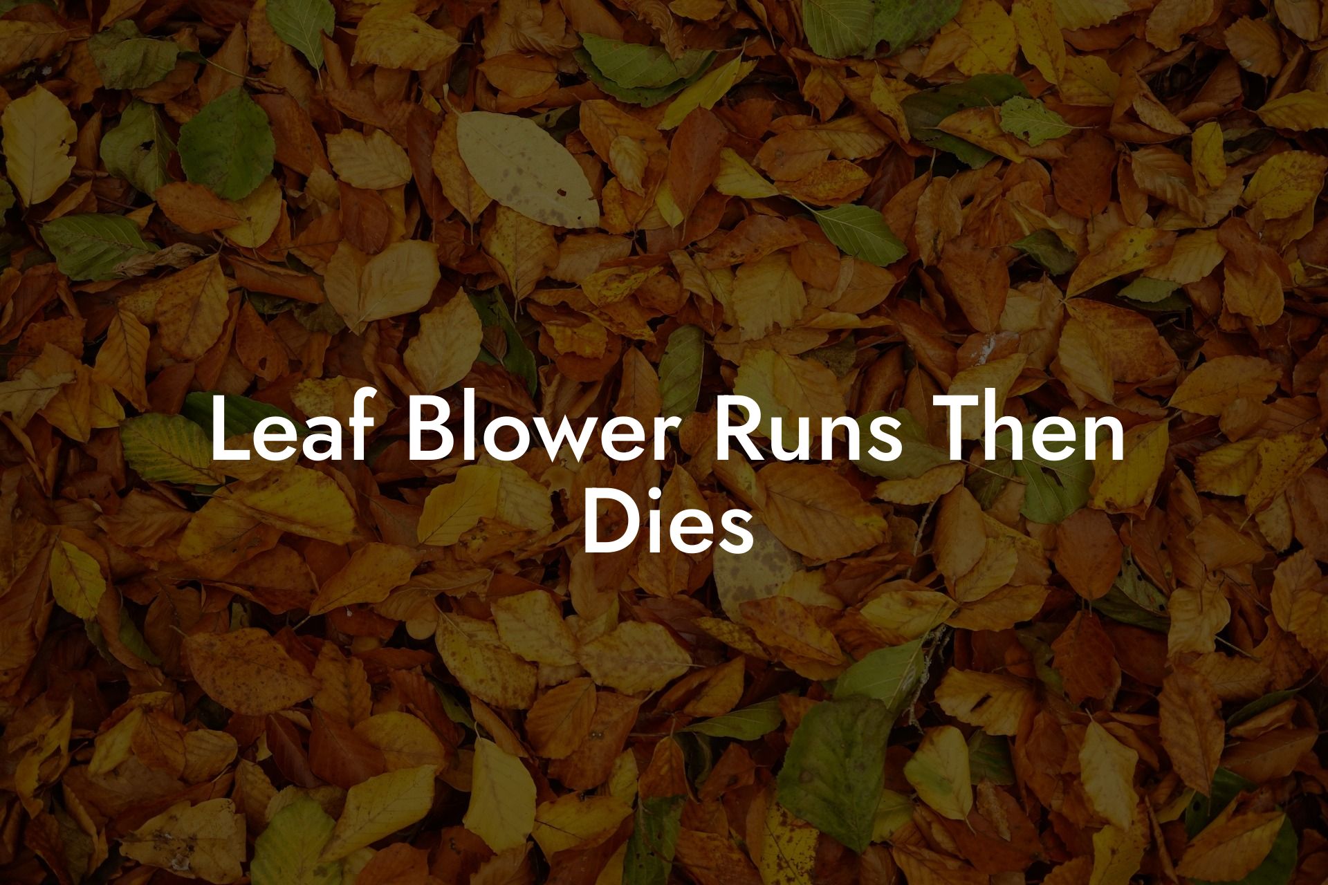 Leaf Blower Runs Then Dies