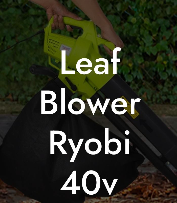 Leaf Blower Ryobi 40v