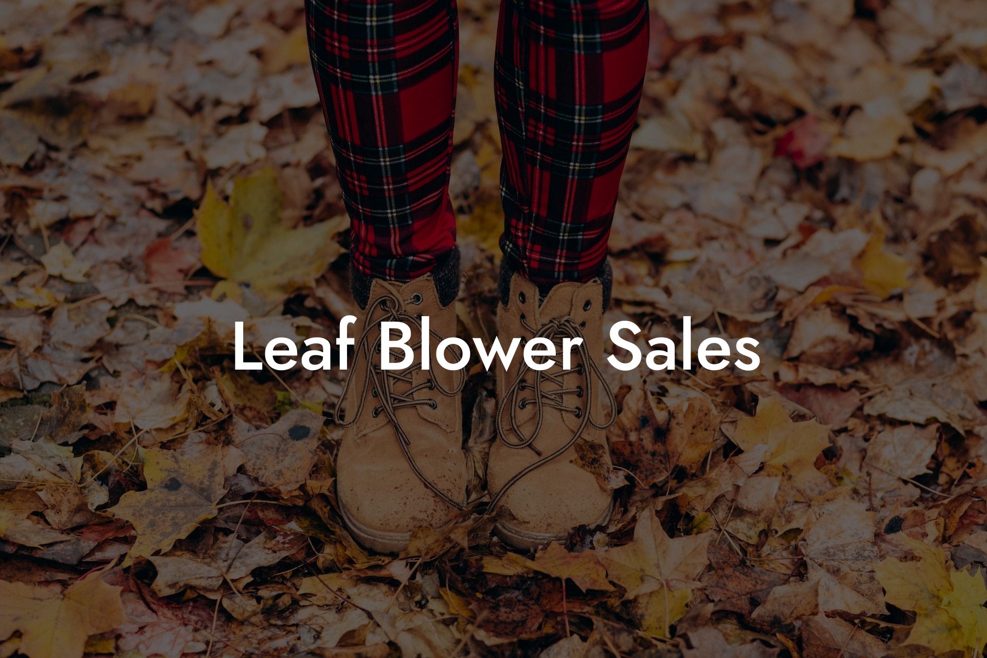 Leaf Blower Sales