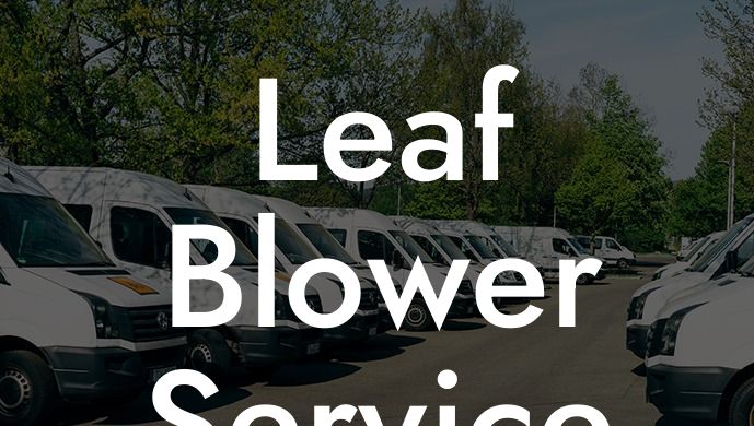 Leaf Blower Service