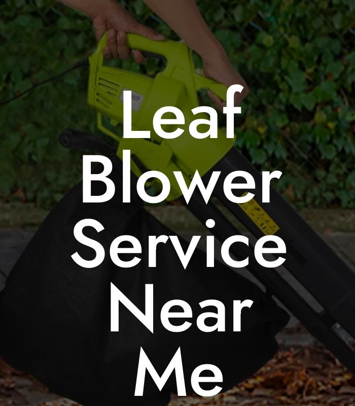 Leaf Blower Service Near Me