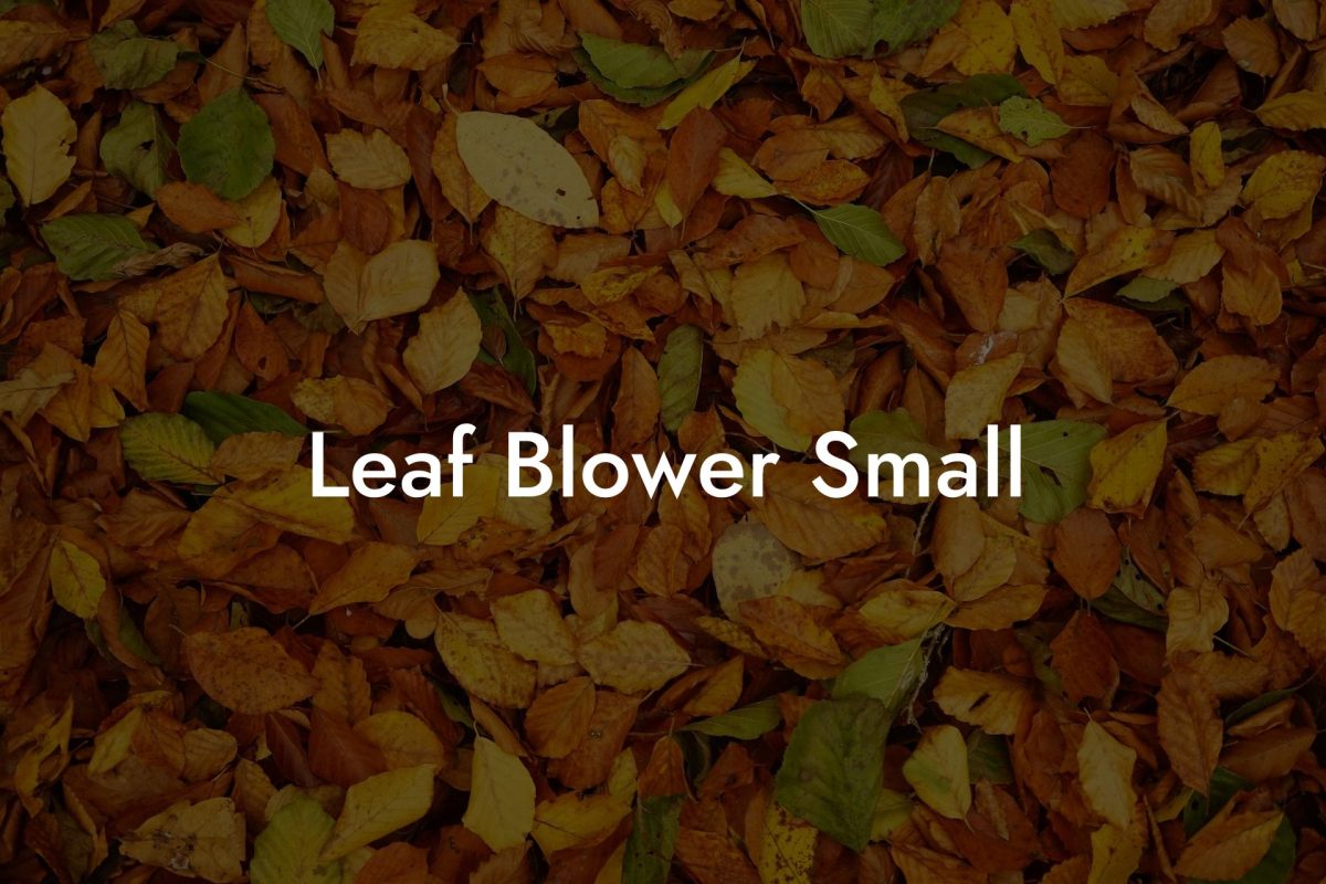 Leaf Blower Small