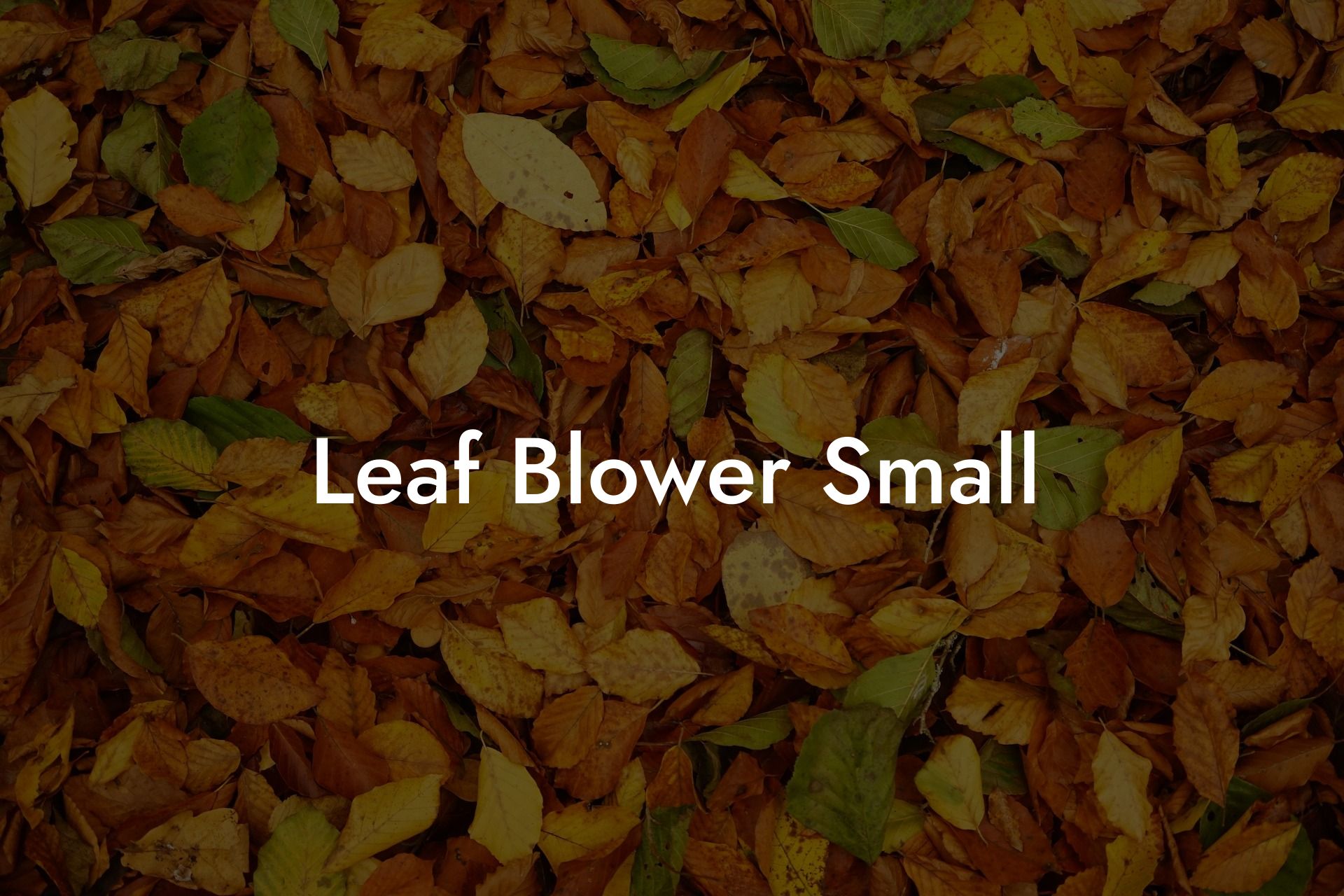 Leaf Blower Small