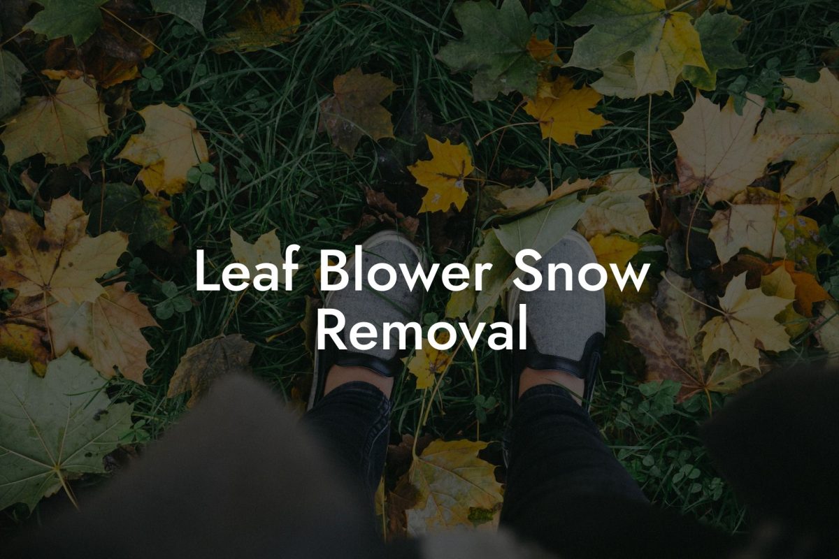 Leaf Blower Snow Removal