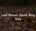 Leaf Blower Spark Plug Size