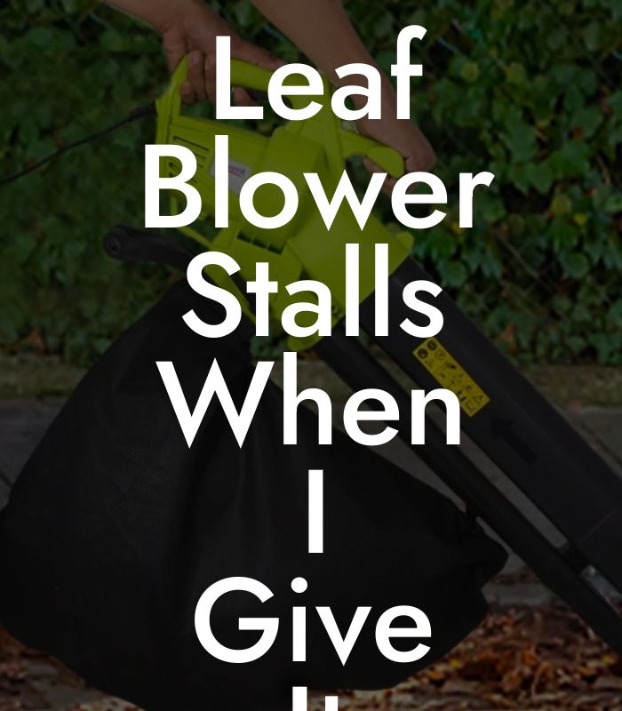 Leaf Blower Stalls When I Give It Gas