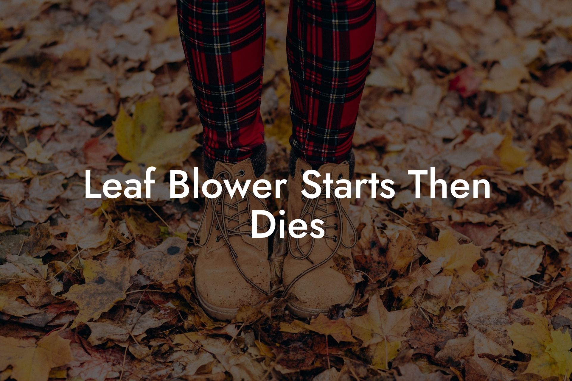 Leaf Blower Starts Then Dies