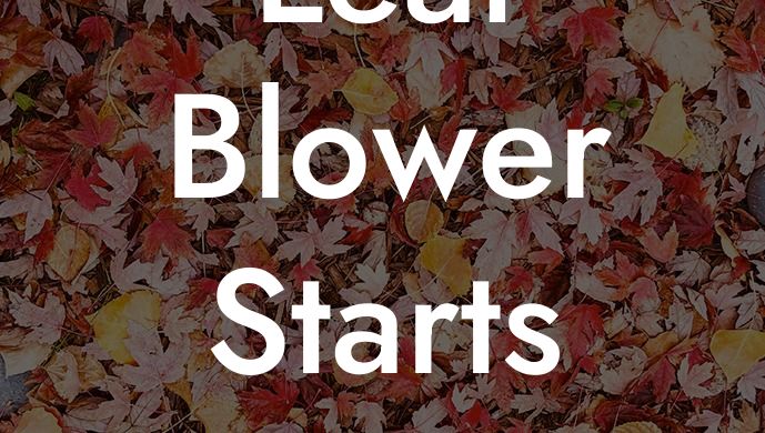 Leaf Blower Starts Then Stops