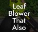 Leaf Blower That Also Vacuums