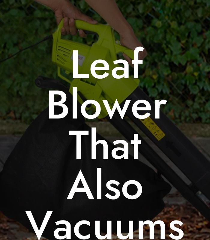 Leaf Blower That Also Vacuums