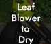 Leaf Blower to Dry Car