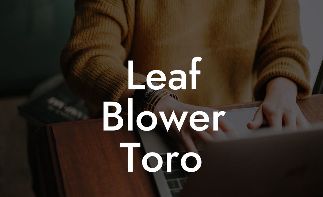 Leaf Blower Toro