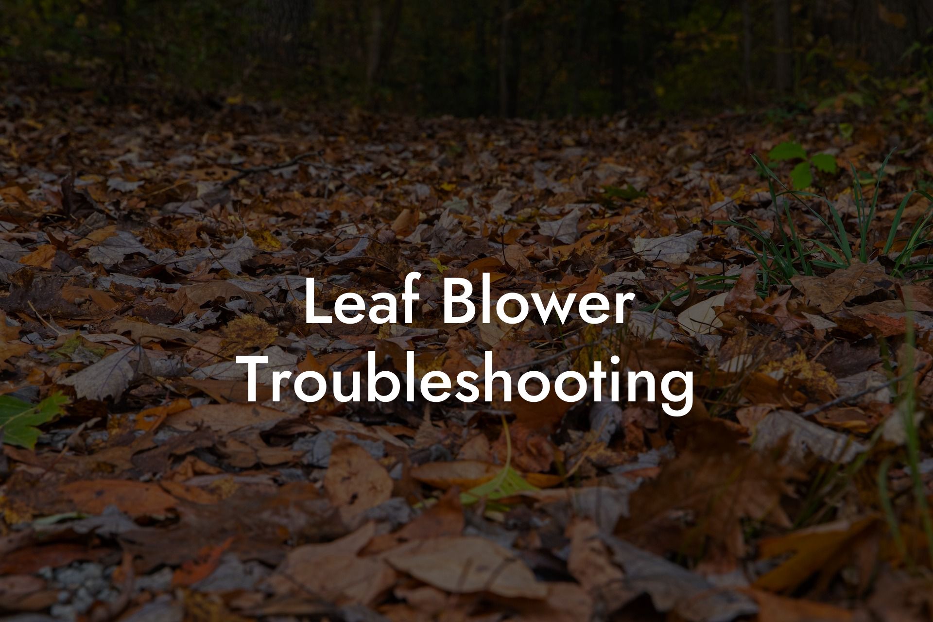 Leaf Blower Troubleshooting