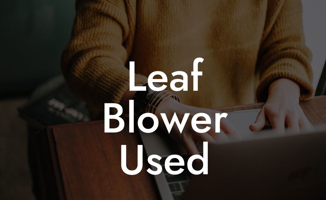 Leaf Blower Used