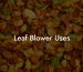 Leaf Blower Uses