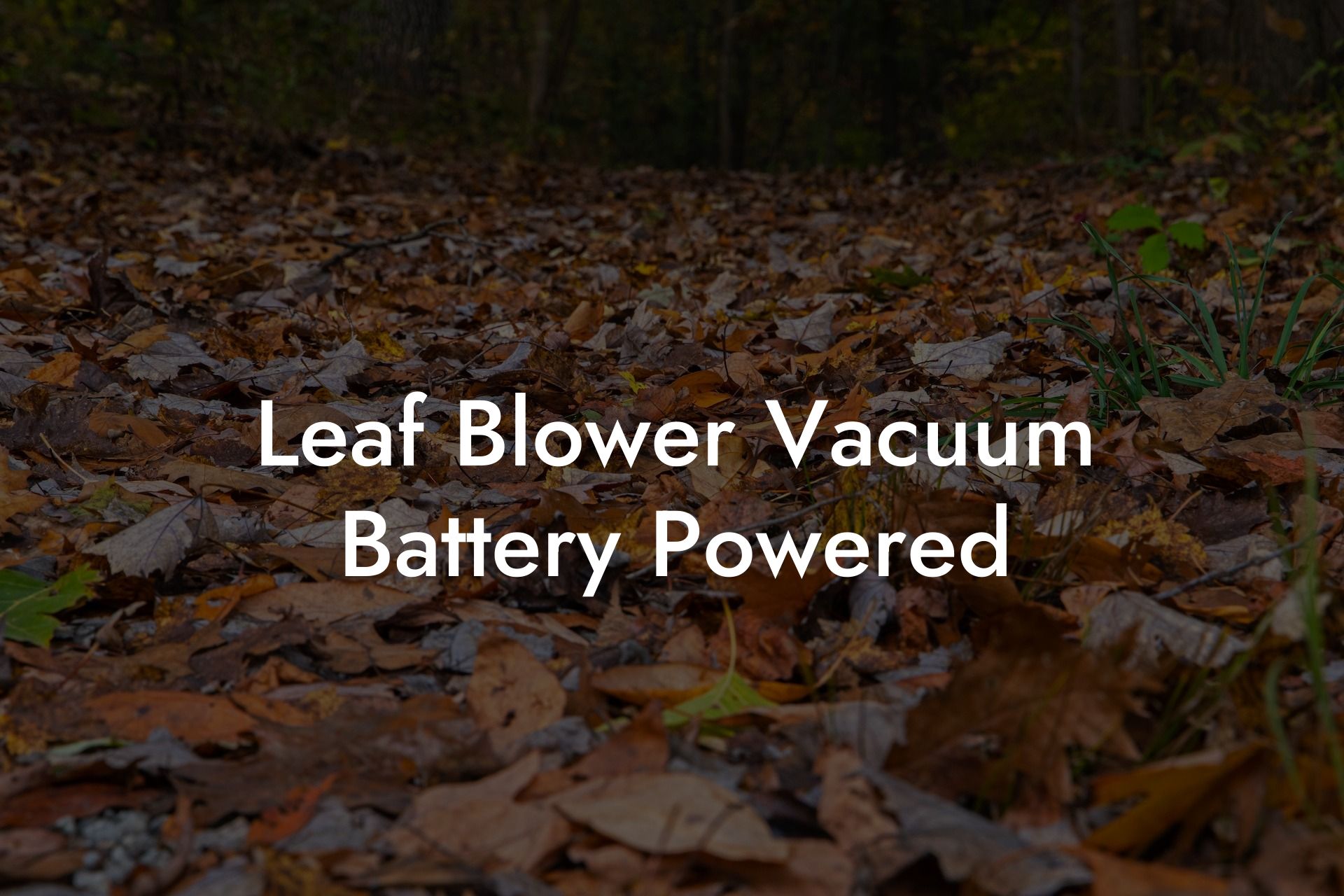 Leaf Blower Vacuum Battery Powered