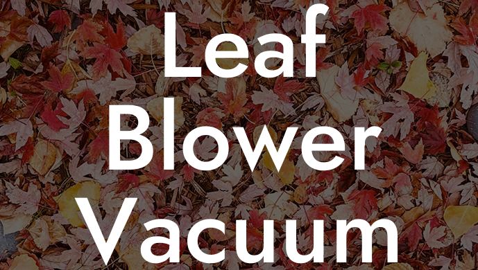 Leaf Blower Vacuum Combo