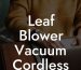 Leaf Blower Vacuum Cordless