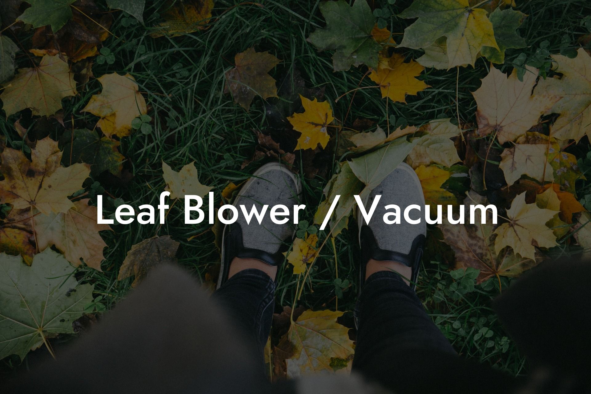 Leaf Blower Vacuum