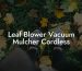 Leaf Blower Vacuum Mulcher Cordless