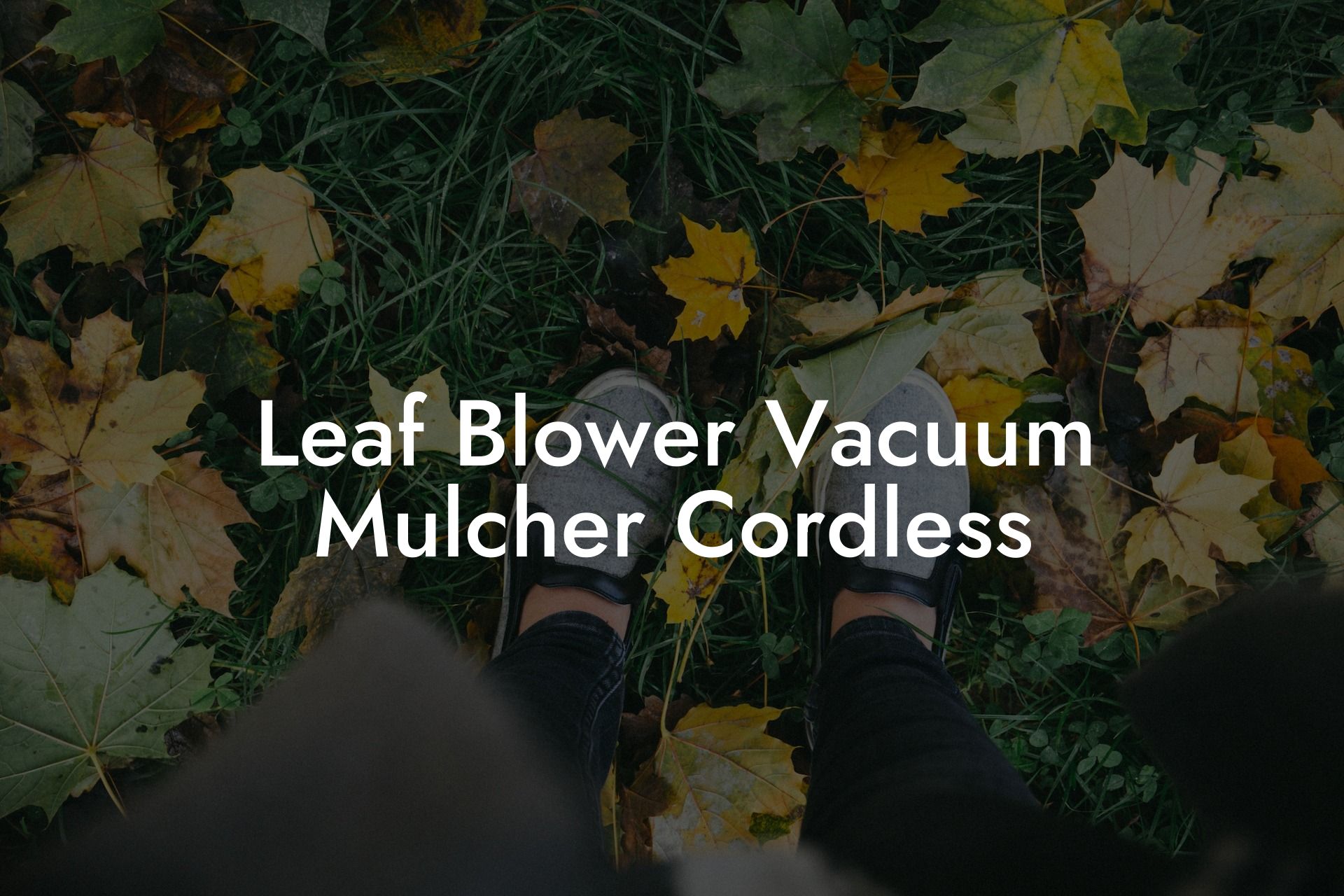 Leaf Blower Vacuum Mulcher Cordless