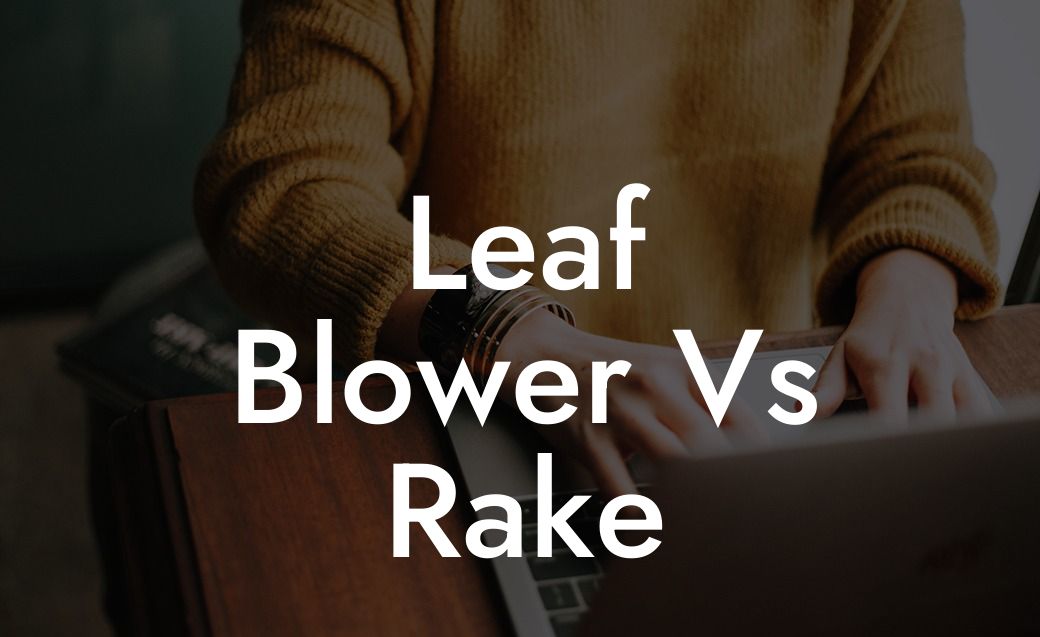 Leaf Blower Vs Rake