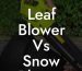 Leaf Blower Vs Snow Blower