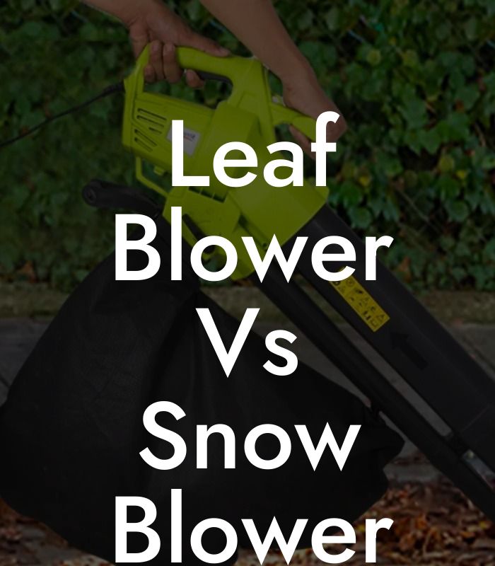 Leaf Blower Vs Snow Blower