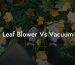 Leaf Blower Vs Vacuum