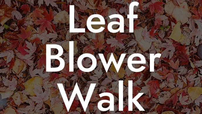 Leaf Blower Walk Behind