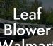 Leaf Blower Walmart