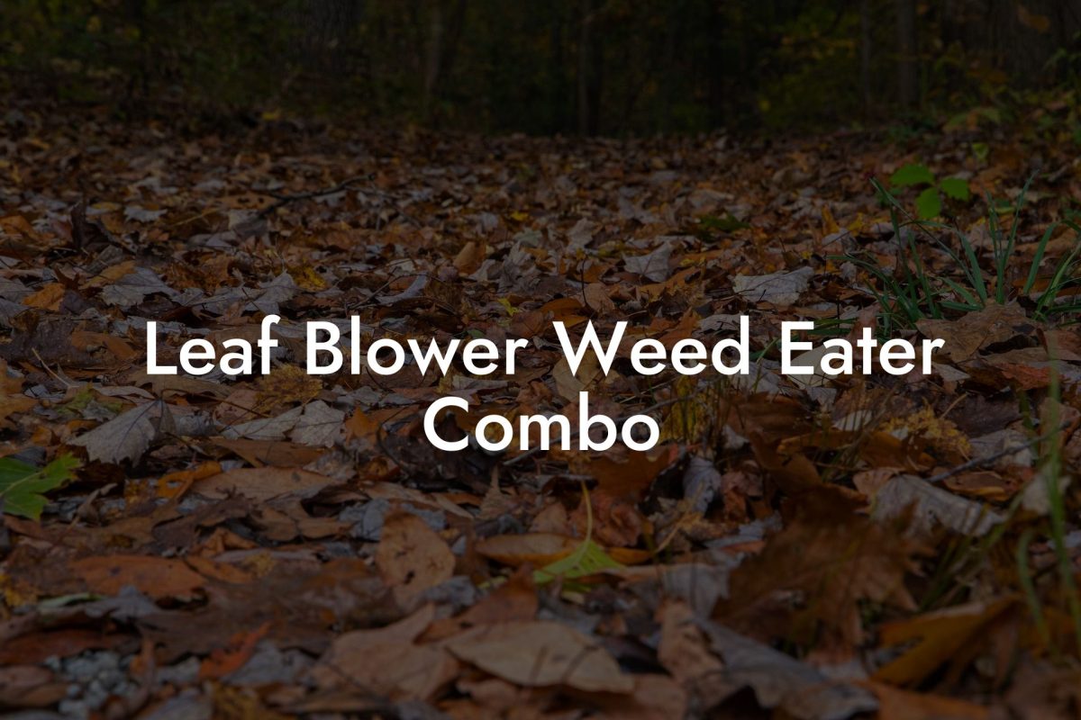 Leaf Blower Weed Eater Combo