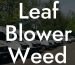 Leaf Blower Weed Eater