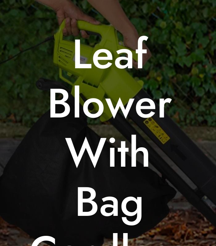 Leaf Blower With Bag Cordless