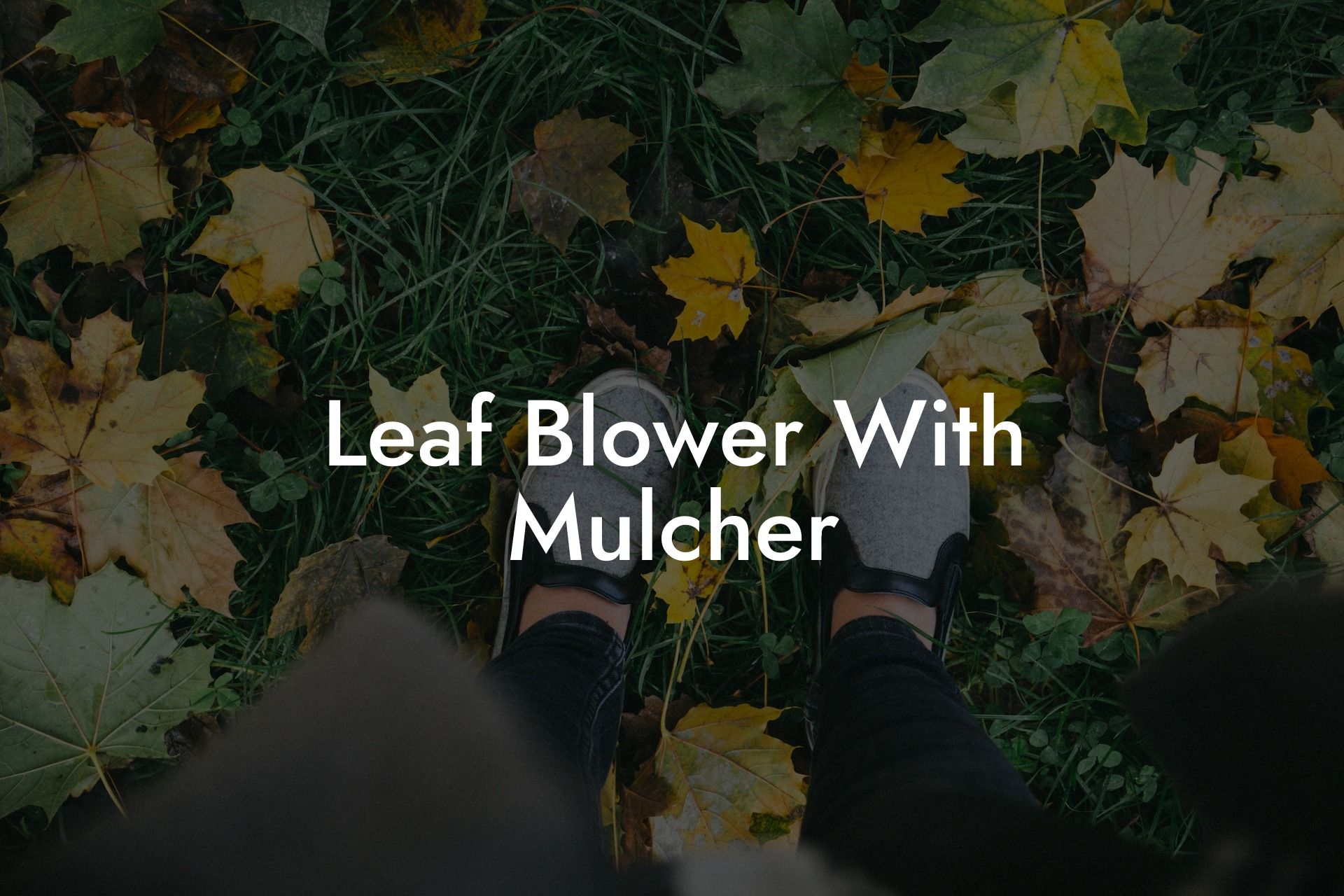 Leaf Blower With Mulcher