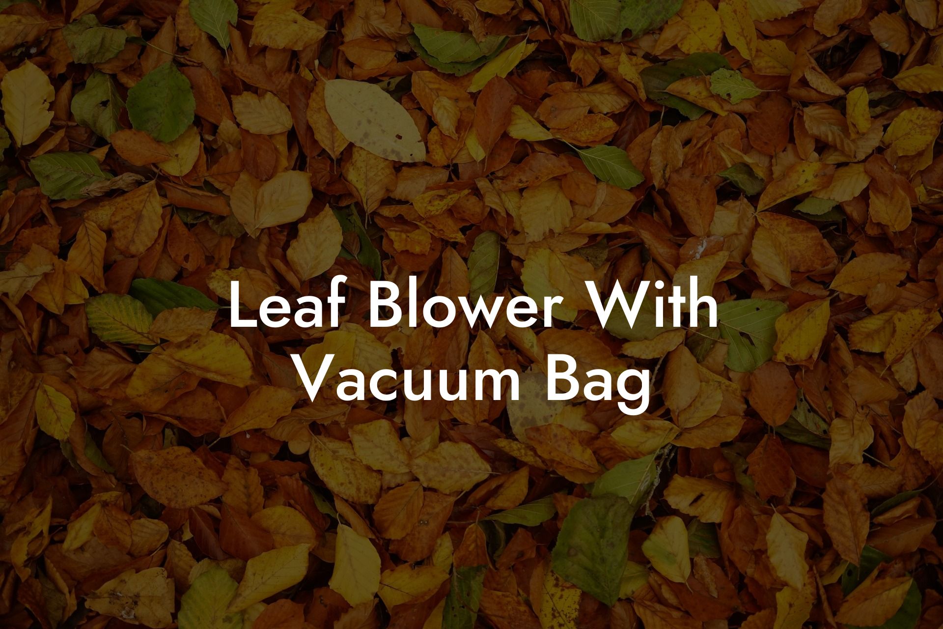 Leaf Blower With Vacuum Bag