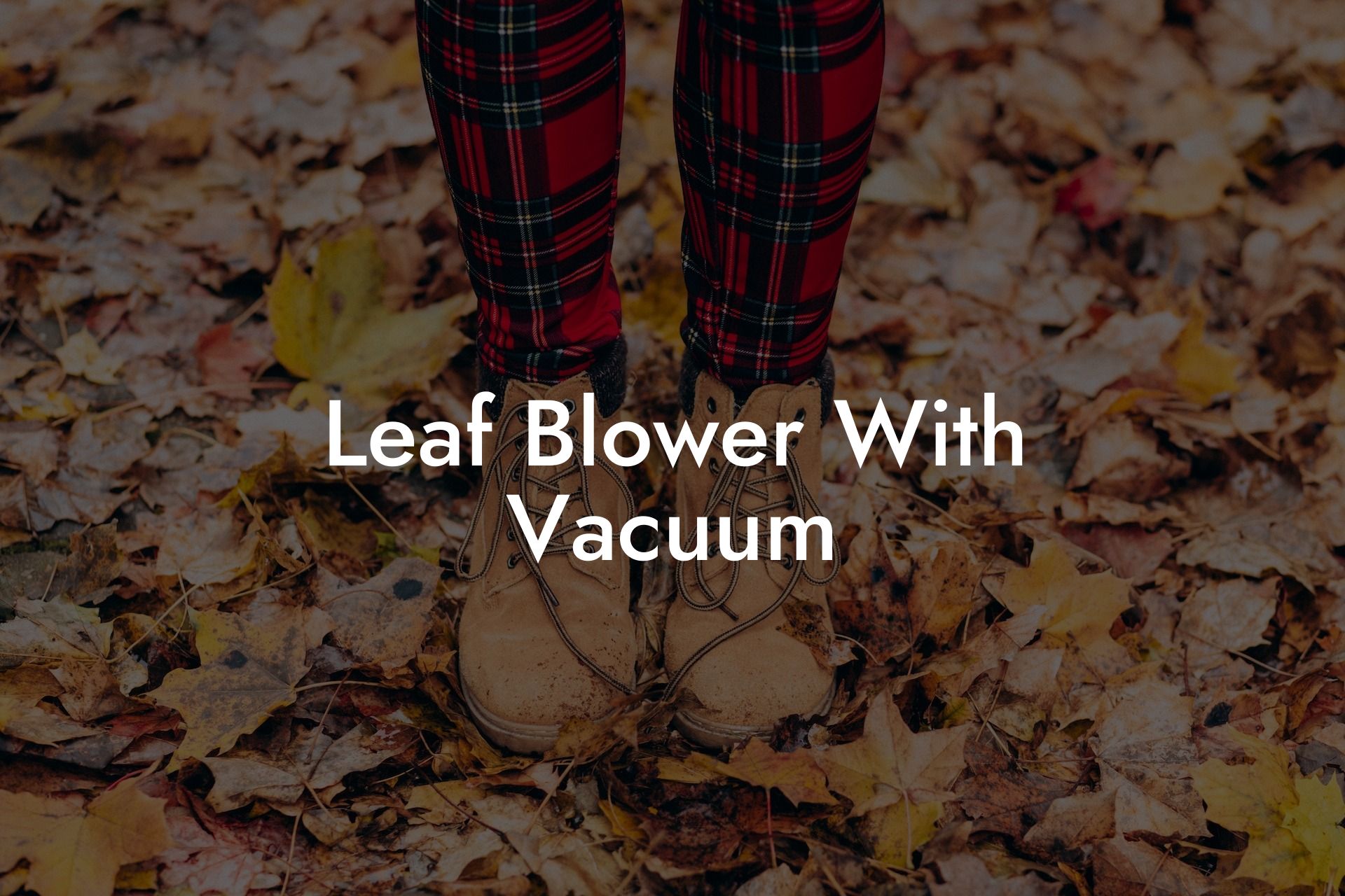 Leaf Blower With Vacuum