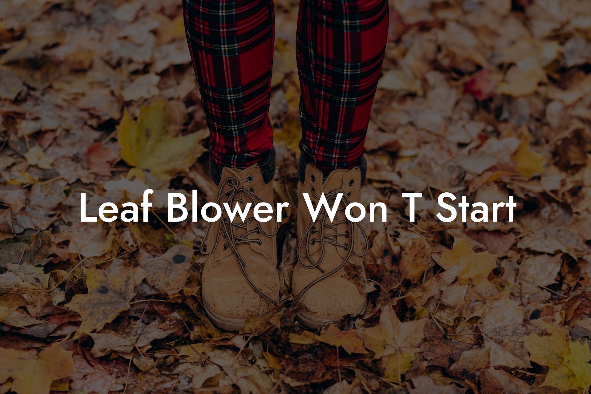 Leaf Blower Won T Start