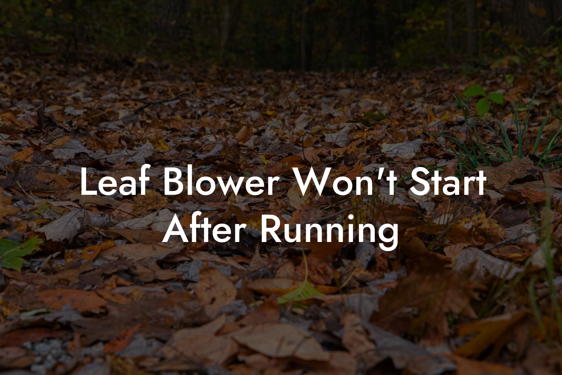 Leaf Blower Won't Start After Running