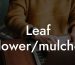 Leaf Blower/mulcher