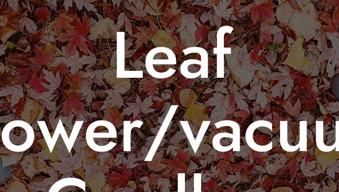 Leaf Blower/vacuum Cordless