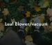 Leaf Blower/vacuum